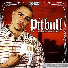 pitbull back in time free download mp4
